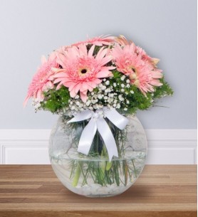 pembe gerbera arajmanı