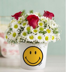 smile vazolu papatyalar ve güller